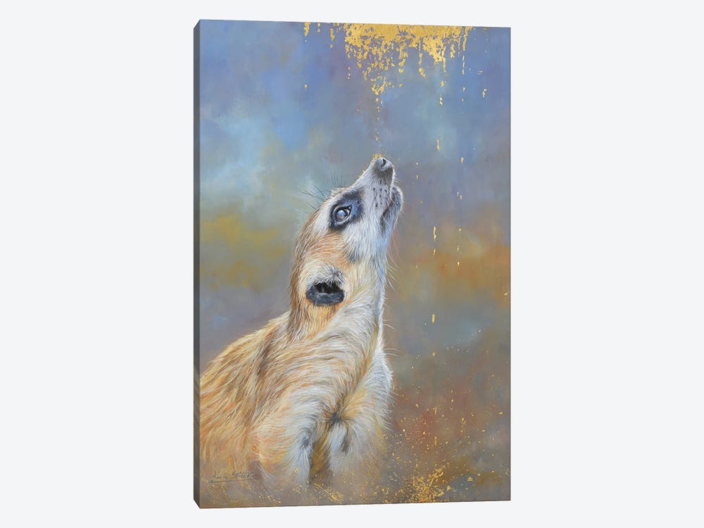 Meerkat. A Sprinkling Of Gold by David Stribbling 1-piece Canvas Art