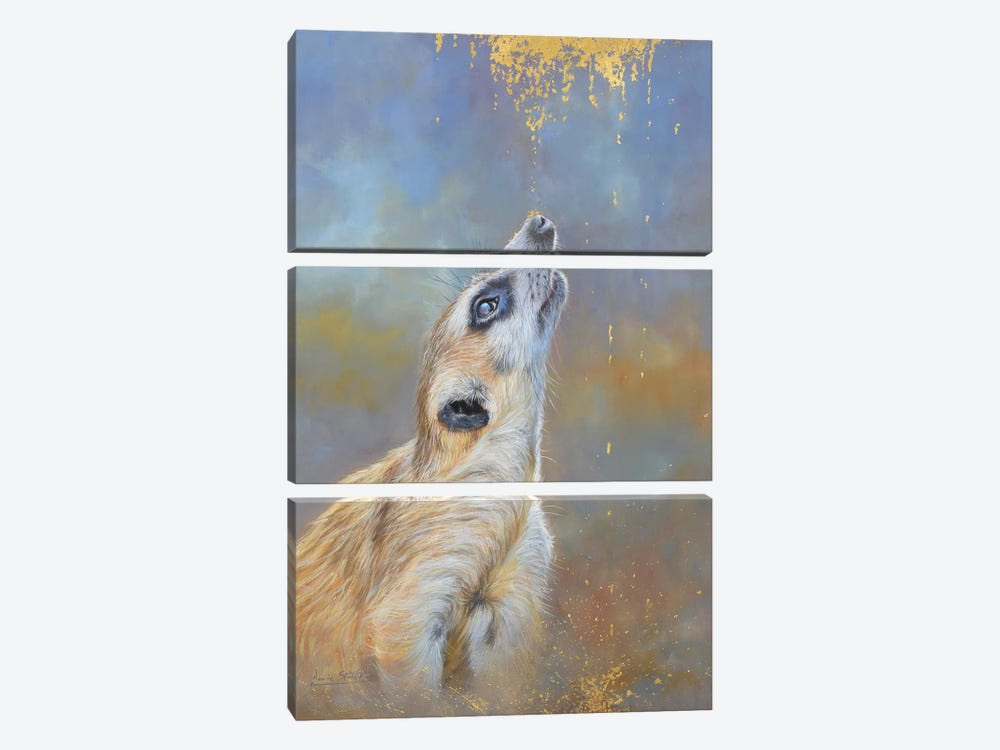 Meerkat. A Sprinkling Of Gold by David Stribbling 3-piece Canvas Wall Art