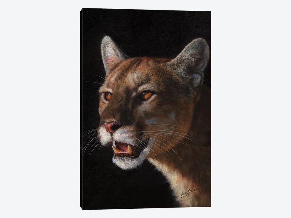 Cougar by David Stribbling 1-piece Canvas Artwork