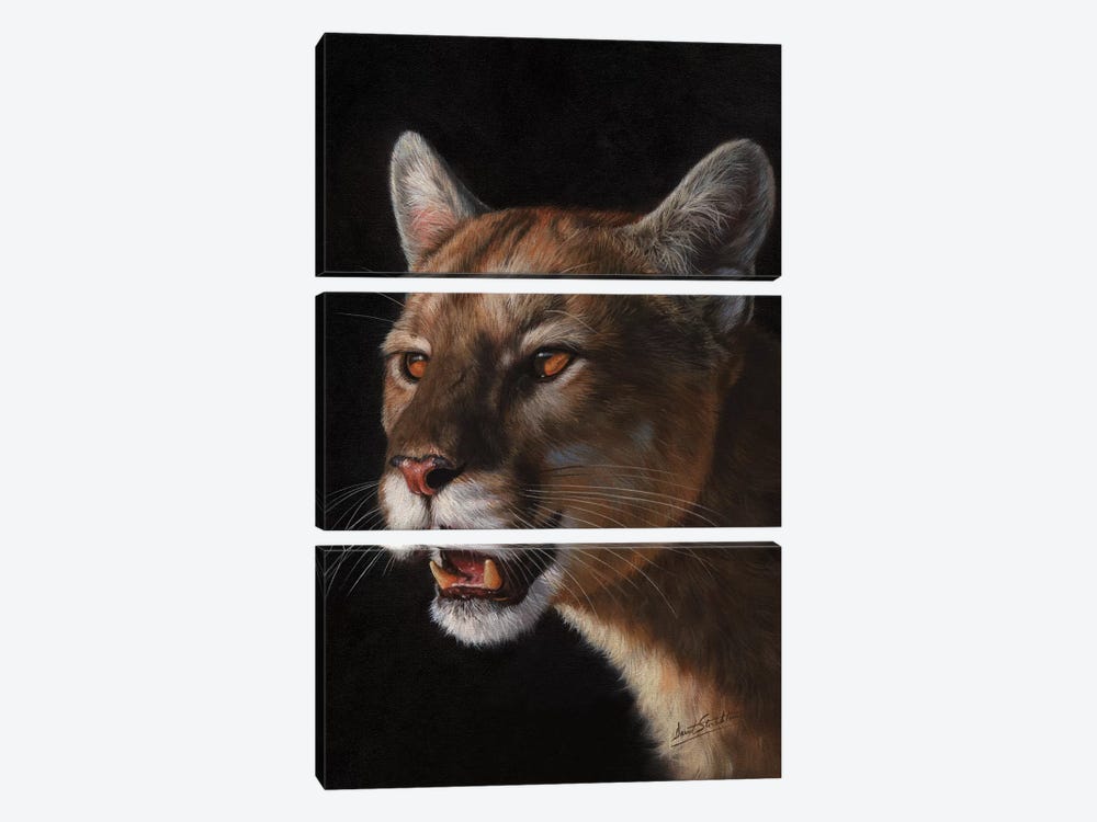 Cougar by David Stribbling 3-piece Canvas Artwork