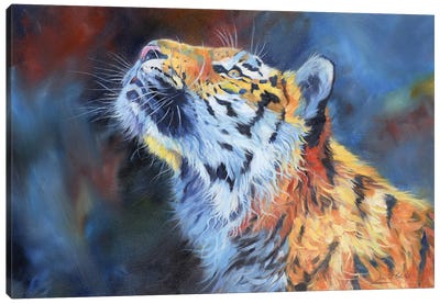 Amur Tiger. Vibrant Series Canvas Art Print - David Stribbling
