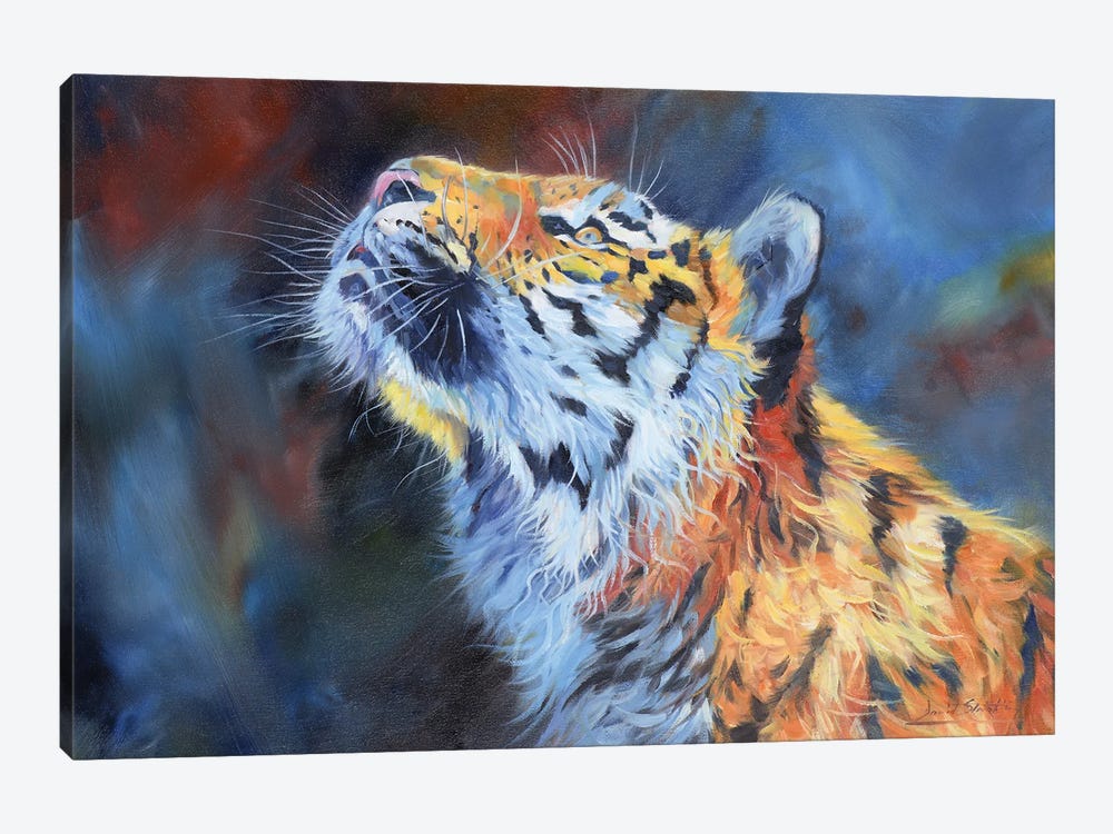 Amur Tiger. Vibrant Series by David Stribbling 1-piece Canvas Artwork