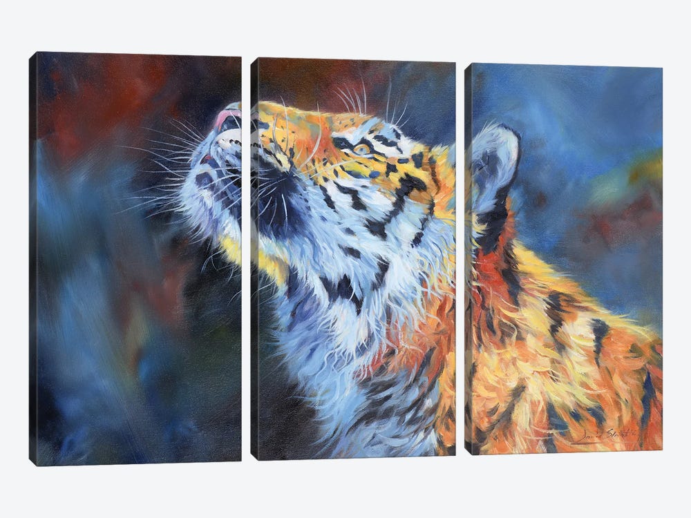 Amur Tiger. Vibrant Series by David Stribbling 3-piece Canvas Art