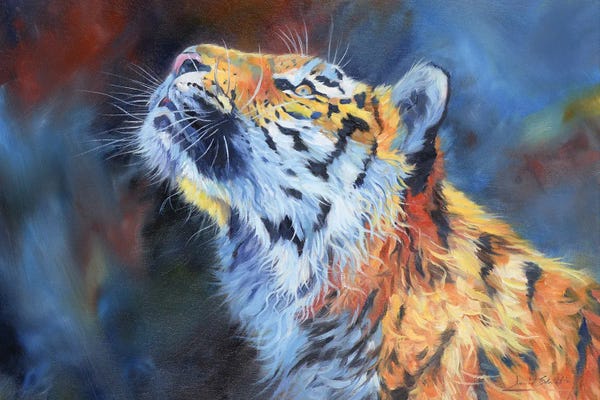 David Stribbling: Amur Tiger. Vibrant Series by David Stribbling