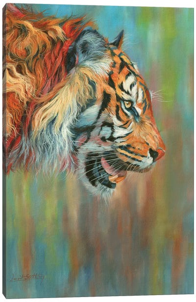 Tiger II Vibrant Series Canvas Art Print - David Stribbling