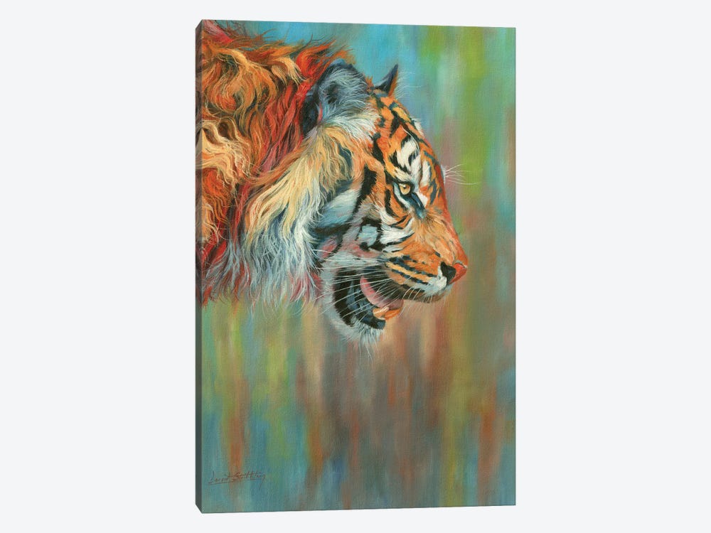 Tiger II Vibrant Series by David Stribbling 1-piece Canvas Art Print