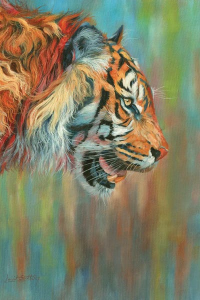 David Stribbling: Tiger II Vibrant Series by David Stribbling