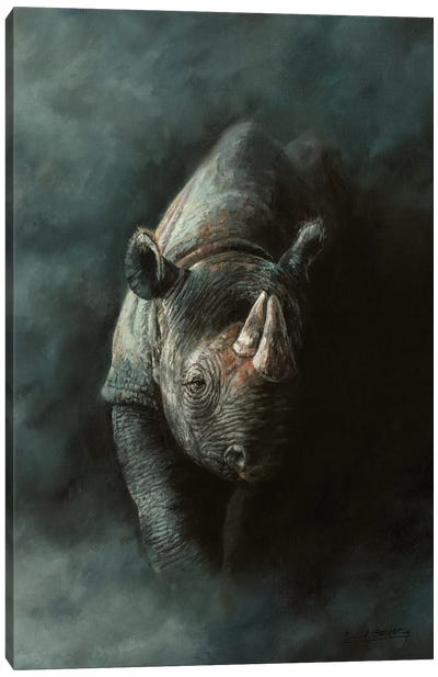 Seen Not Shot Canvas Art Print - Rhinoceros Art