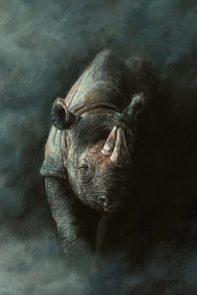 Rhinoceroses: Seen Not Shot by David Stribbling