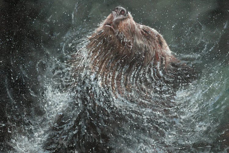 Brown Bear Splash