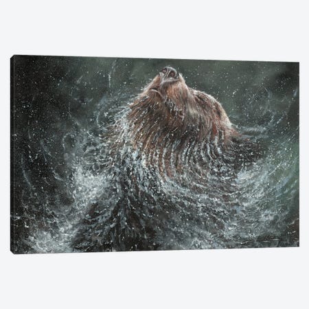 Brown Bear Splash Canvas Print #STG314} by David Stribbling Canvas Art
