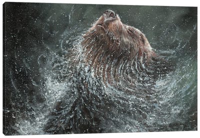 Brown Bear Splash Canvas Art Print - David Stribbling