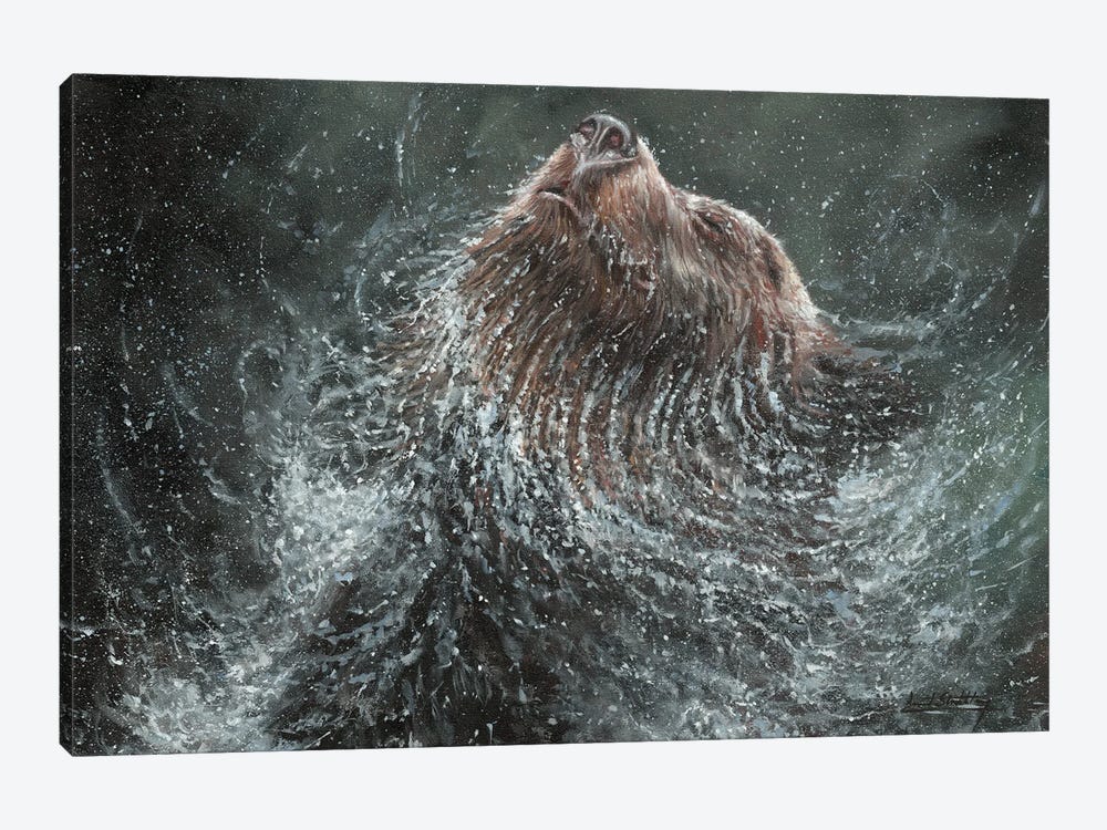 Brown Bear Splash by David Stribbling 1-piece Canvas Art