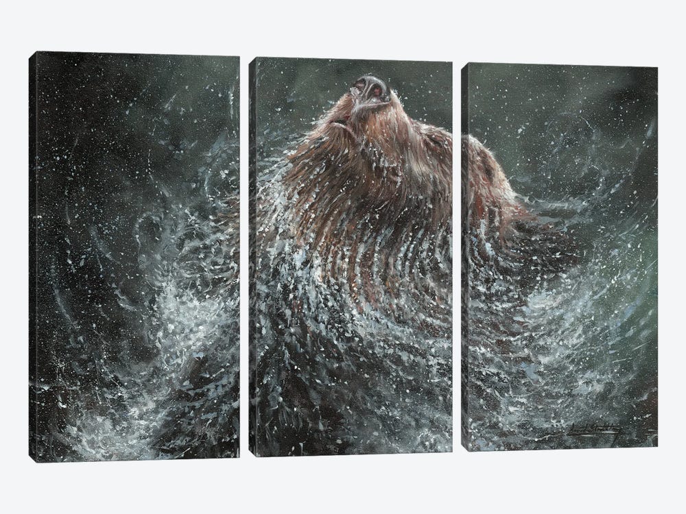 Brown Bear Splash by David Stribbling 3-piece Canvas Artwork