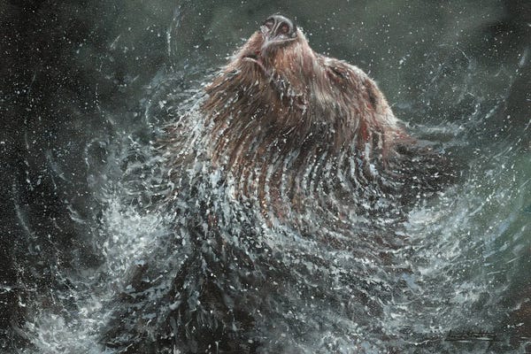 David Stribbling: Brown Bear Splash by David Stribbling