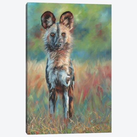 African Wild Dog Stare Canvas Print #STG315} by David Stribbling Canvas Wall Art