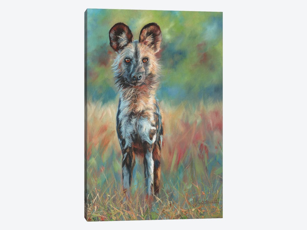African Wild Dog Stare by David Stribbling 1-piece Canvas Print