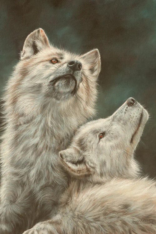 Hudson Bay Wolves