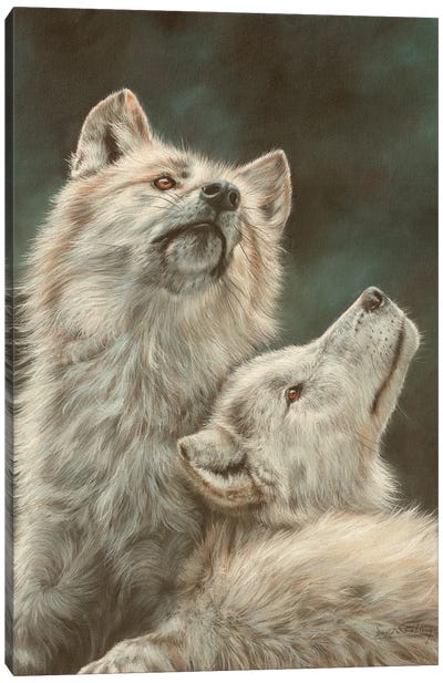 Hudson Bay Wolves Canvas Art Print