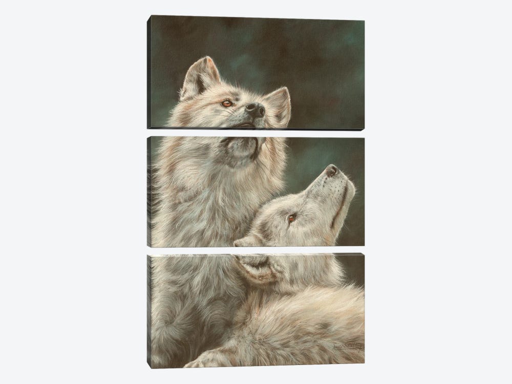 Hudson Bay Wolves by David Stribbling 3-piece Canvas Art
