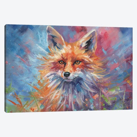Young Red Fox Canvas Artwork by David Stribbling | iCanvas