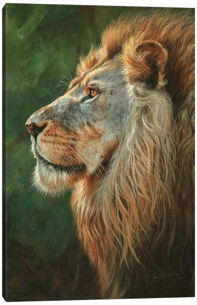 Majesty Canvas Art Print - David Stribbling