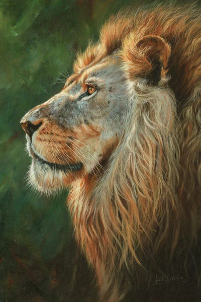 David Stribbling: Majesty by David Stribbling