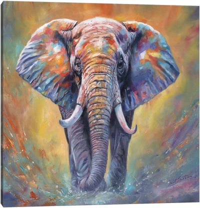 No Closer Canvas Art Print - Elephant Art