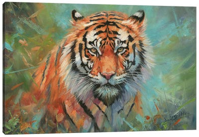 Tiger Tiger Canvas Art Print - David Stribbling