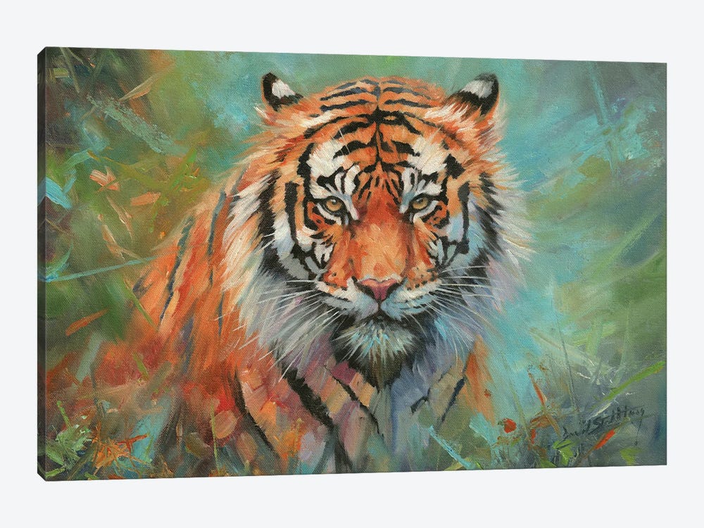 Tiger Tiger by David Stribbling 1-piece Canvas Print