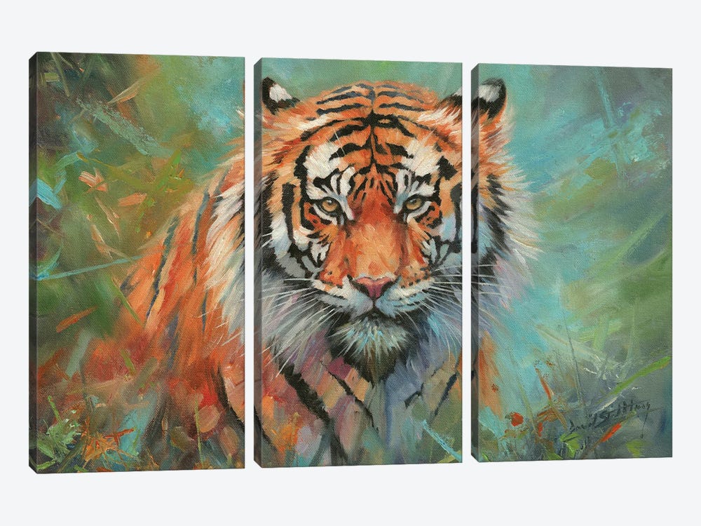 Tiger Tiger by David Stribbling 3-piece Art Print