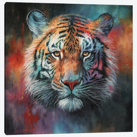 Tiger's Gaze Canvas Print #STG327} by David Stribbling Canvas Print