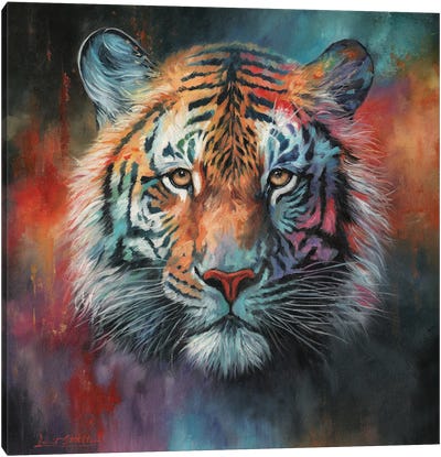 Tiger's Gaze Canvas Art Print - David Stribbling