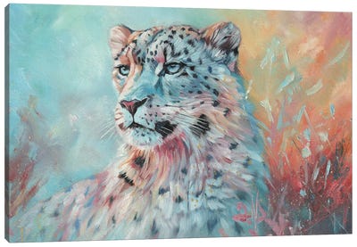 Fire And Ice. Snow Leopard Canvas Art Print - David Stribbling