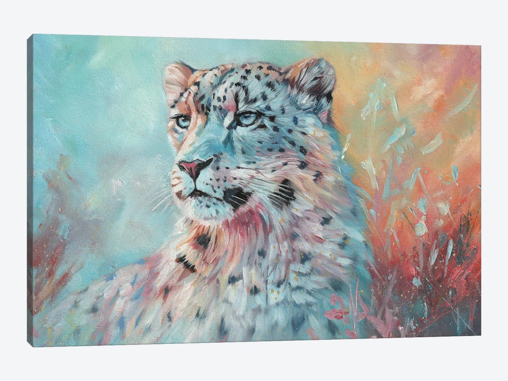 Fire And Ice. Snow Leopard by David Stribbling 1-piece Canvas Wall Art