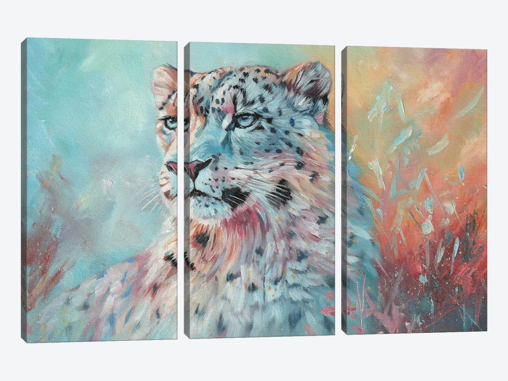 Fire And Ice. Snow Leopard by David Stribbling 3-piece Canvas Wall Art