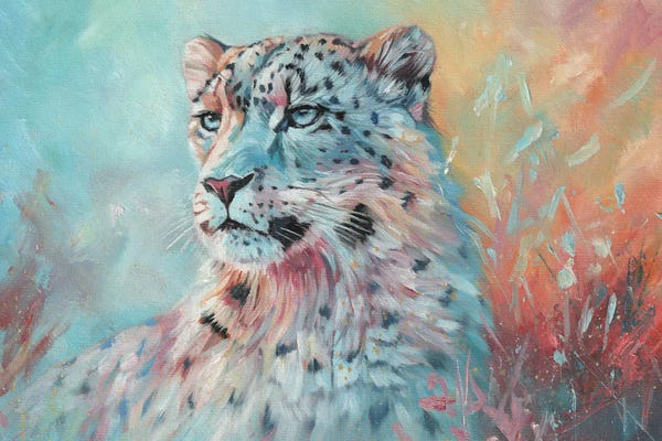 Leopards: Fire And Ice. Snow Leopard by David Stribbling