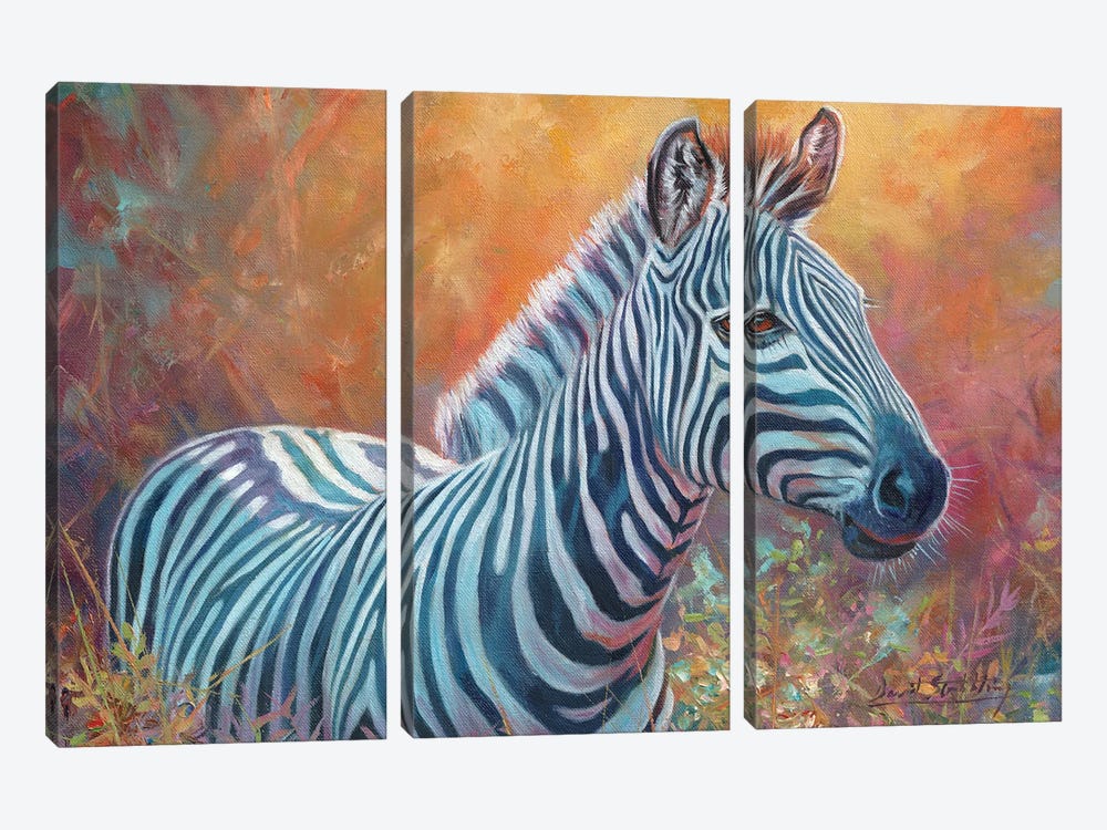 Stripes And Flora by David Stribbling 3-piece Canvas Artwork