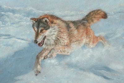 Sient Pursuit by David Stribbling framed wall art