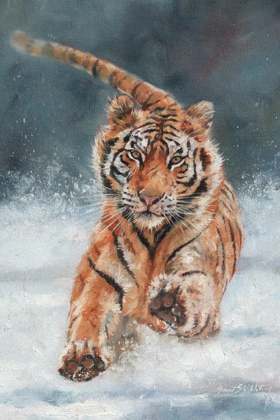 David Stribbling: Snow Patrol II by David Stribbling