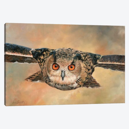 Eagle Owl Canvas Print #STG33} by David Stribbling Canvas Print