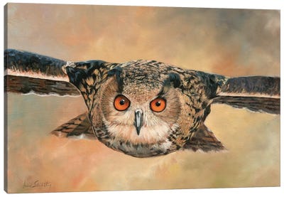 Eagle Owl Canvas Art Print - David Stribbling