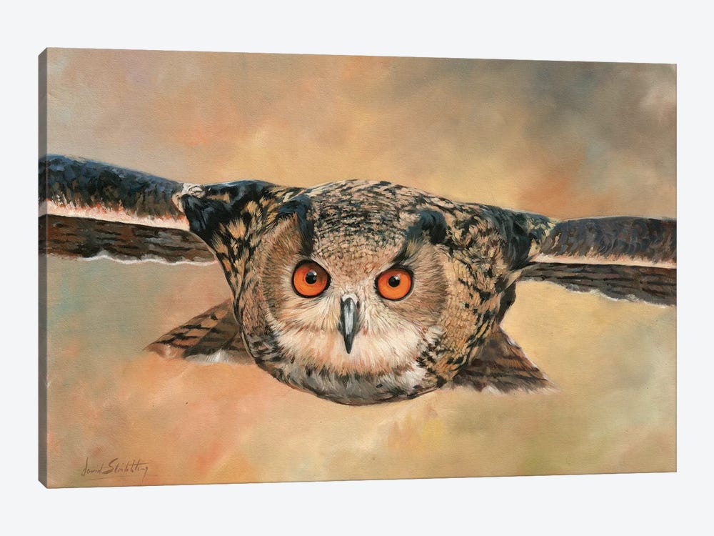 Eagle Owl by David Stribbling 1-piece Canvas Print