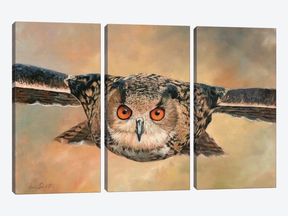 Eagle Owl by David Stribbling 3-piece Canvas Art Print