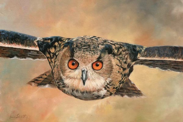 Exploration: Eagle Owl by David Stribbling