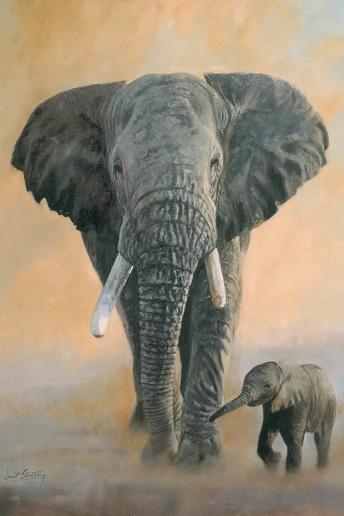 Elephant And Baby