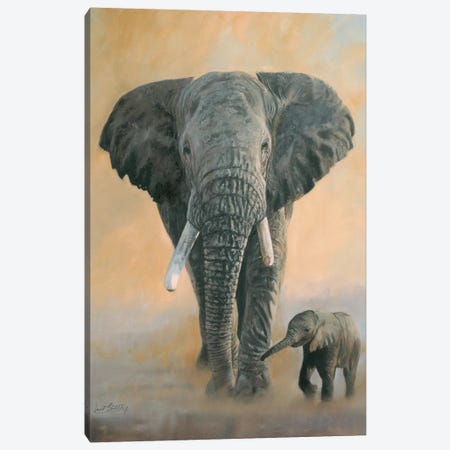 Elephant And Baby Canvas Print #STG34} by David Stribbling Canvas Art