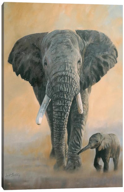 Elephant And Baby Canvas Art Print - David Stribbling