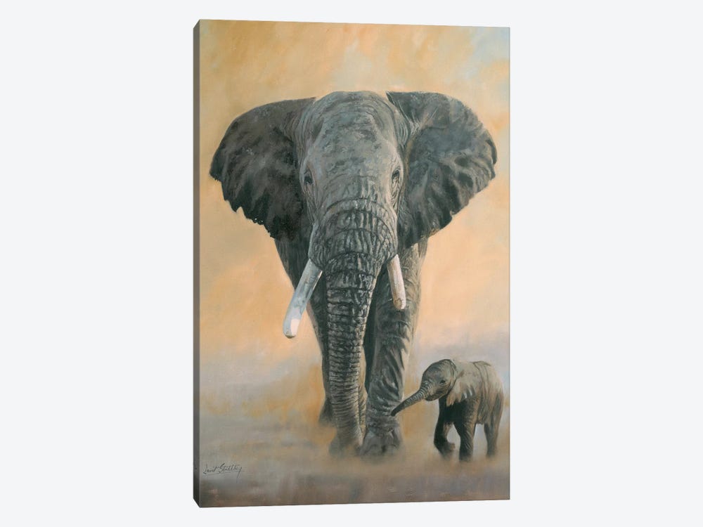 Elephant And Baby by David Stribbling 1-piece Canvas Artwork