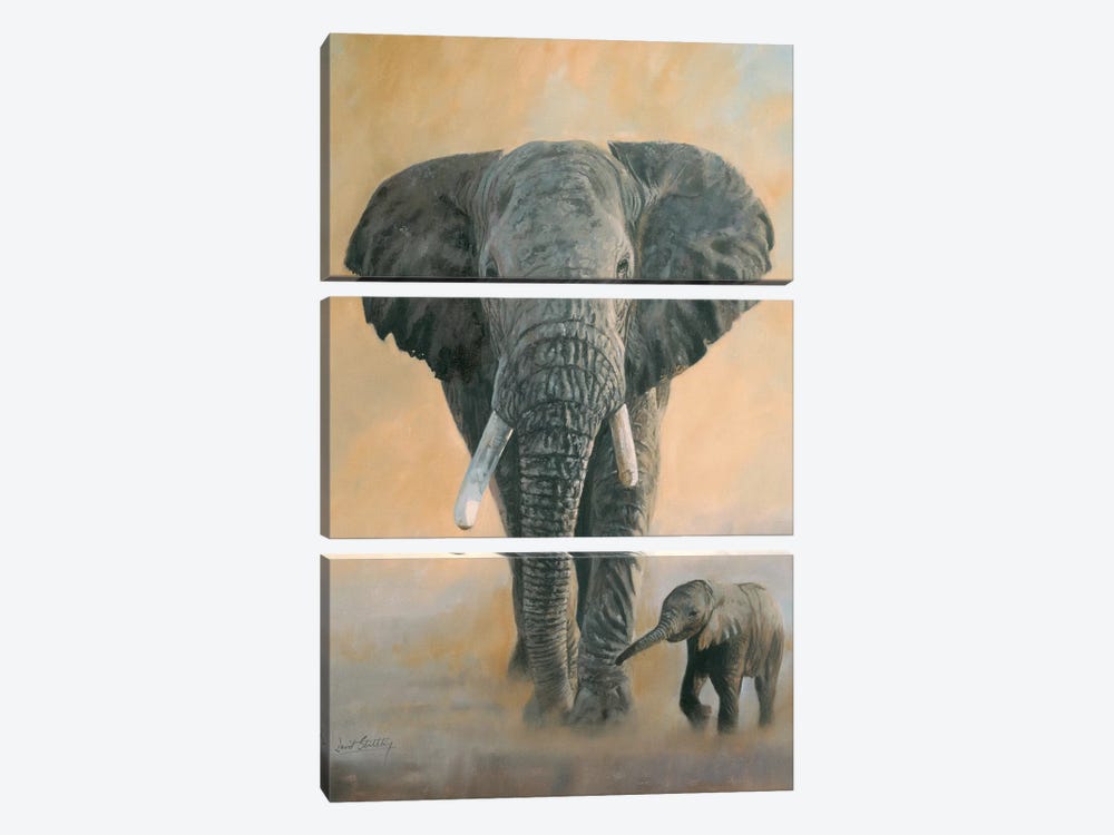 Elephant And Baby by David Stribbling 3-piece Canvas Art